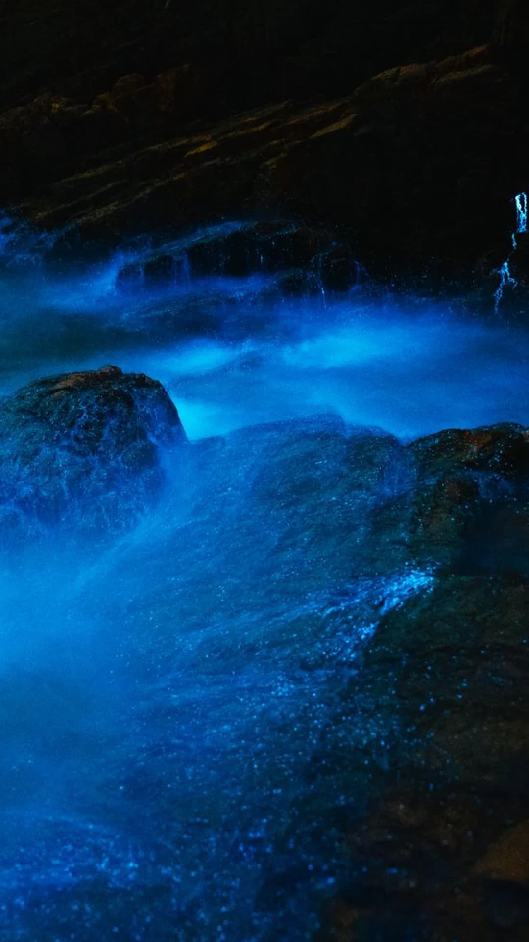 Night kayak, bioluminescence in the creek