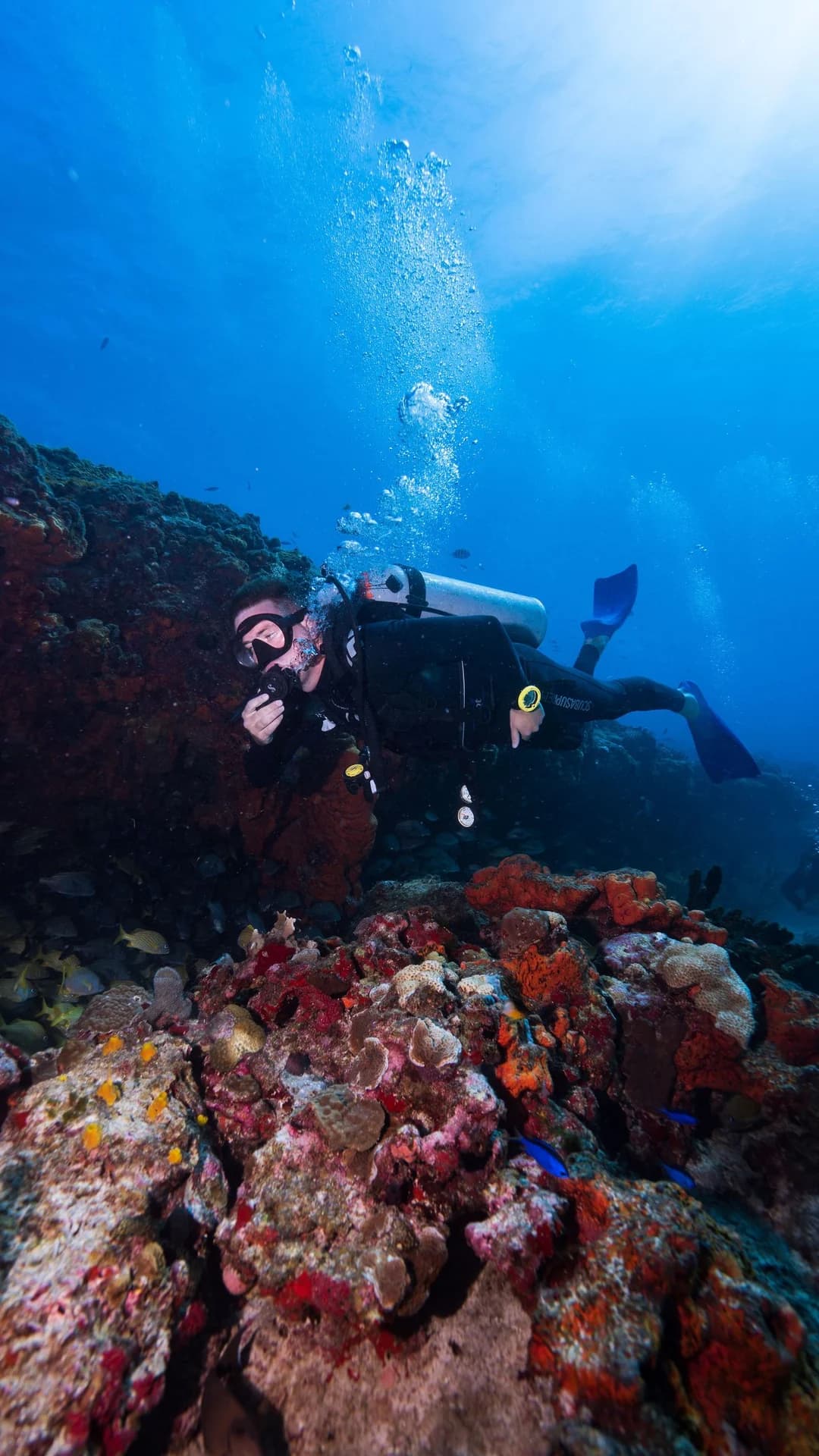 Discover scuba dive at Nemo Reef